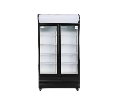 Desain tanpa judul (50)